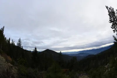 DSC_0084 (Large).JPG